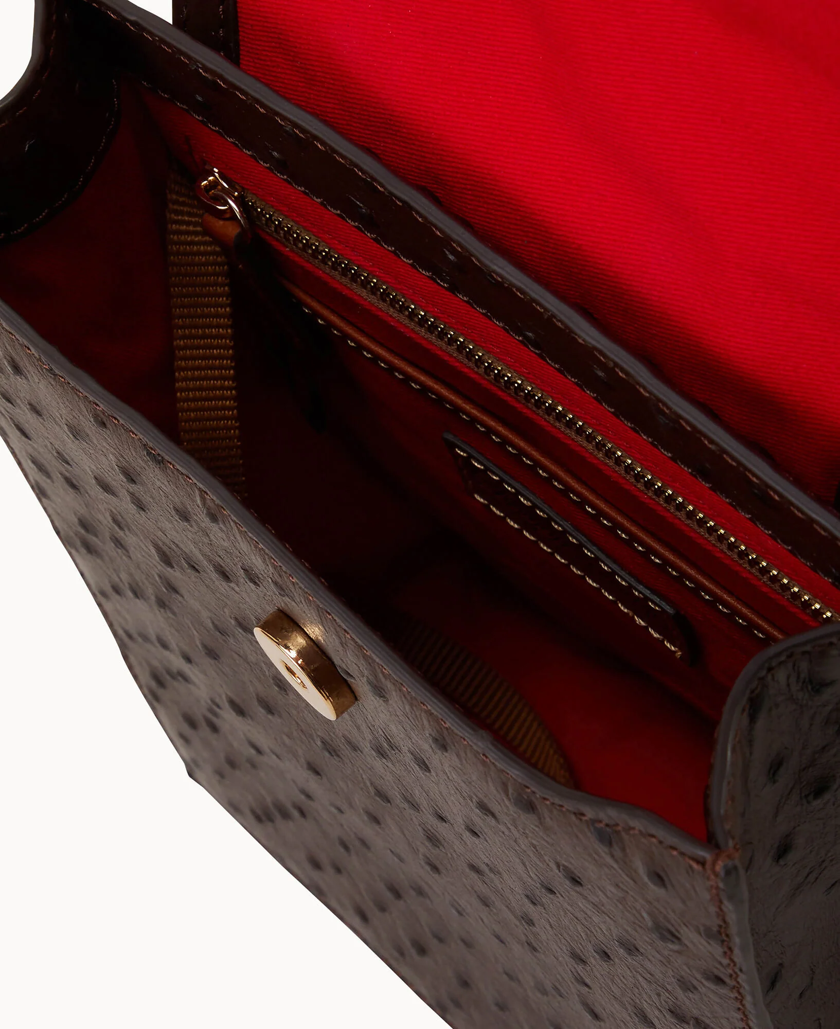 Ostrich Backpack - Image 5