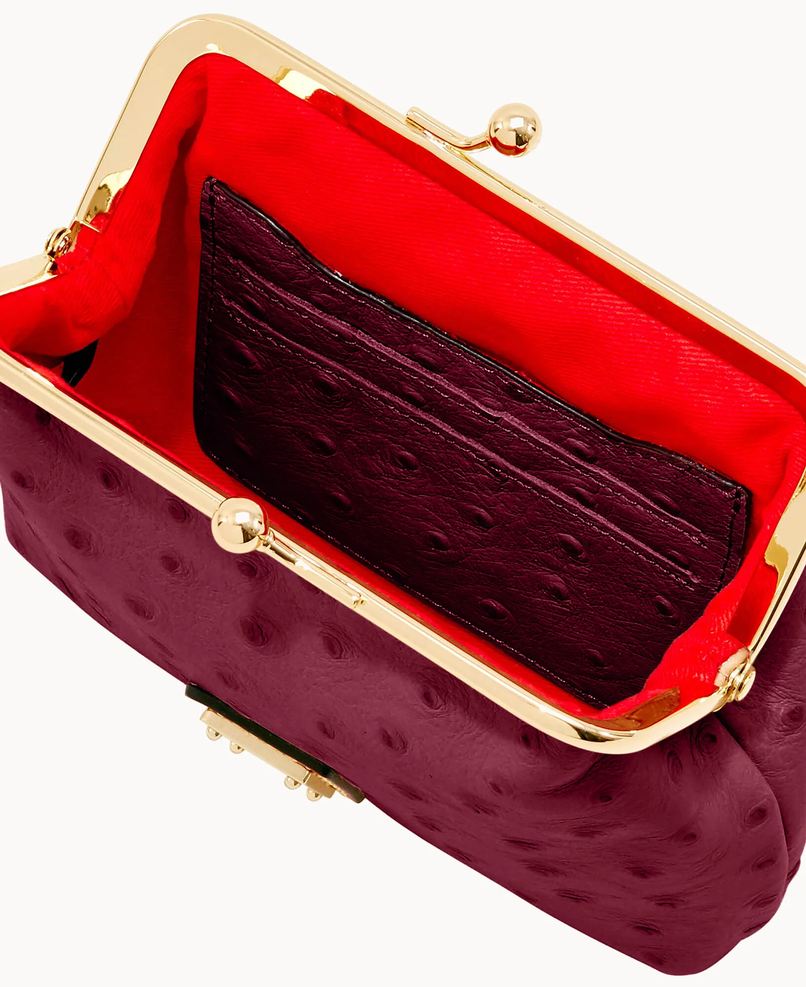Ostrich Large Framed Purse - Image 46