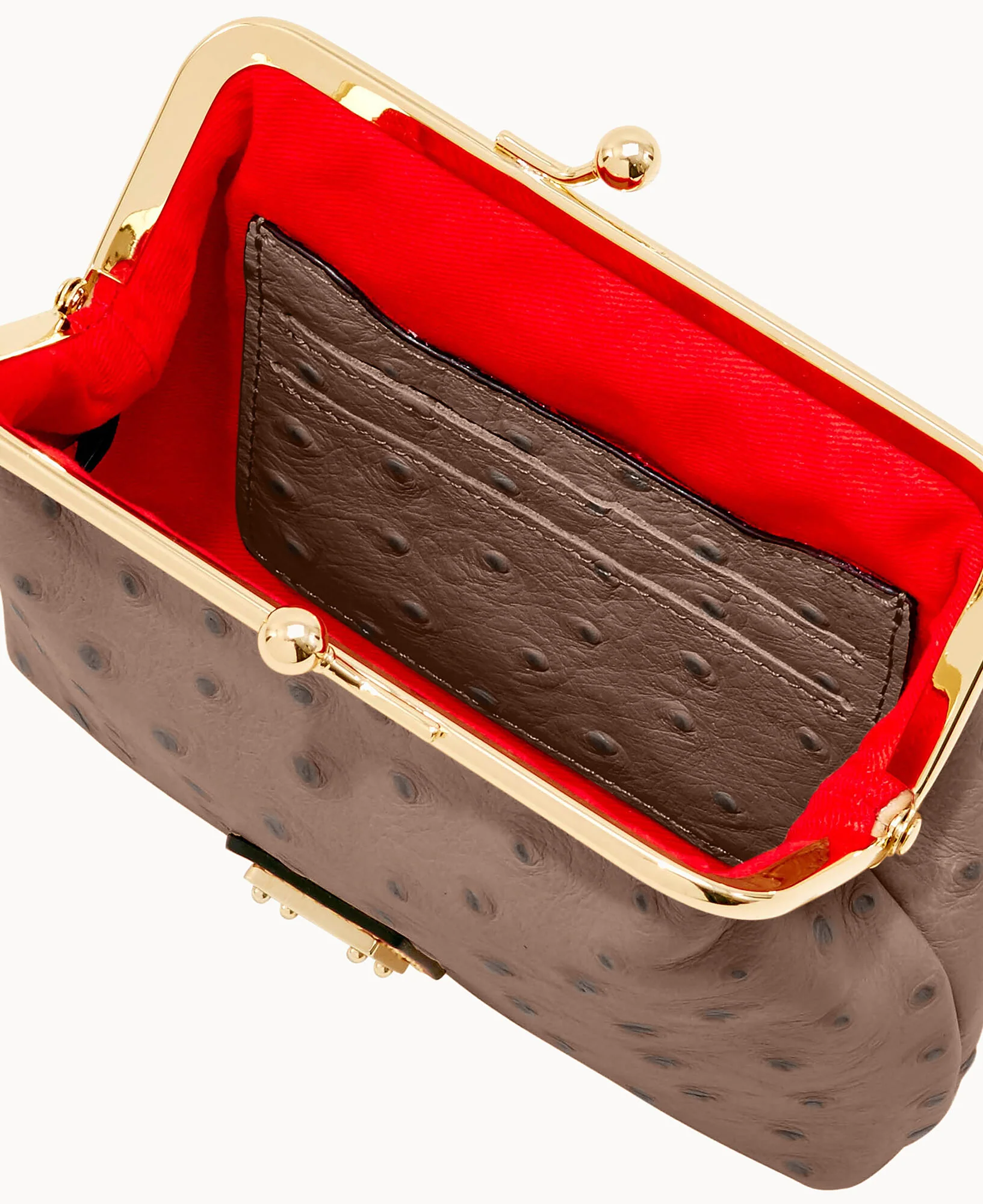 Ostrich Large Framed Purse - Image 49