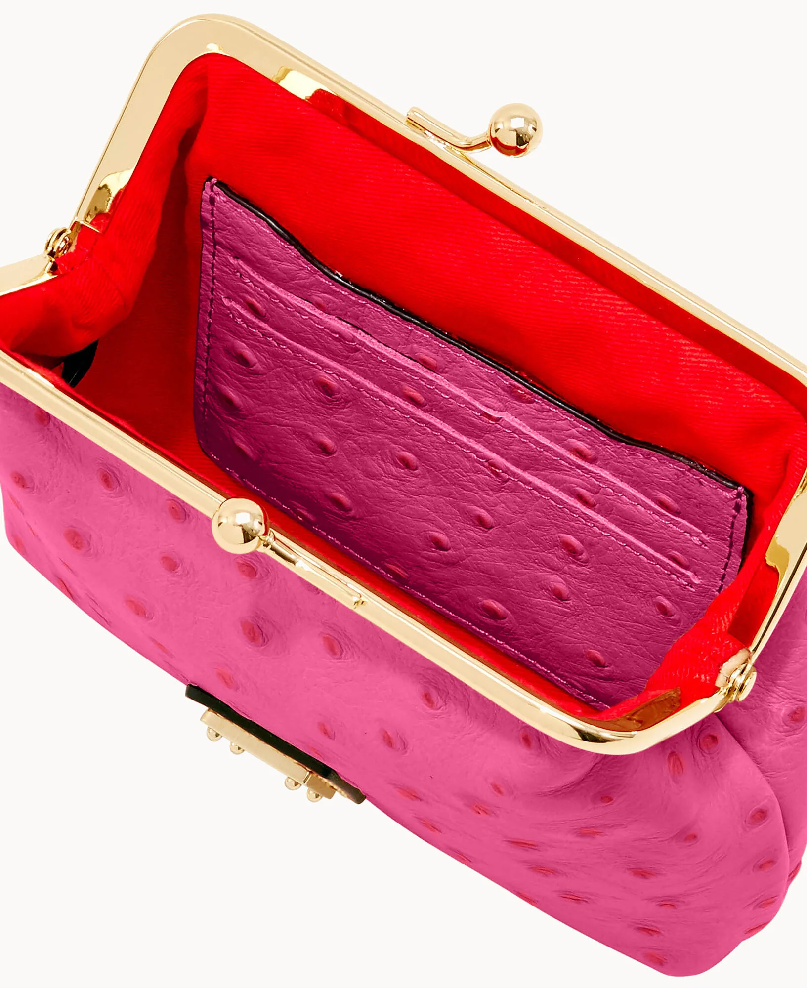 Ostrich Large Framed Purse - Image 52